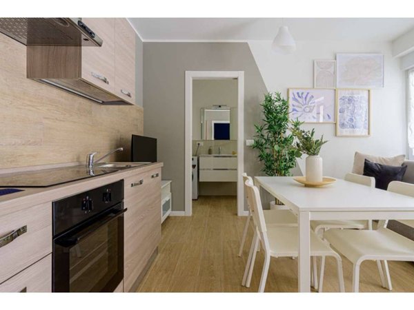 appartamento in affitto a Torino in zona Borgo San Paolo