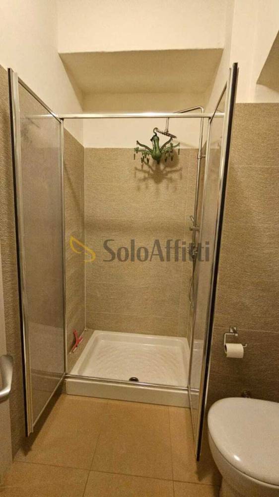 appartamento in affitto a Torino in zona Crocetta