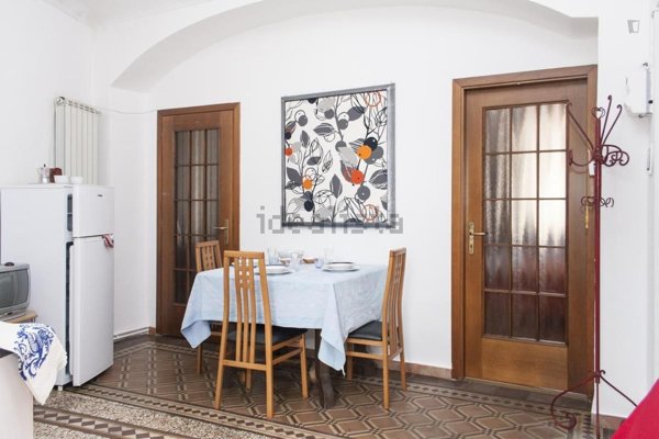 appartamento in affitto a Torino in zona Barriera di Milano