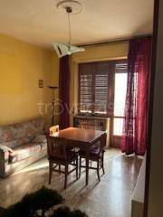 appartamento in affitto a Torino in zona Barriera di Milano