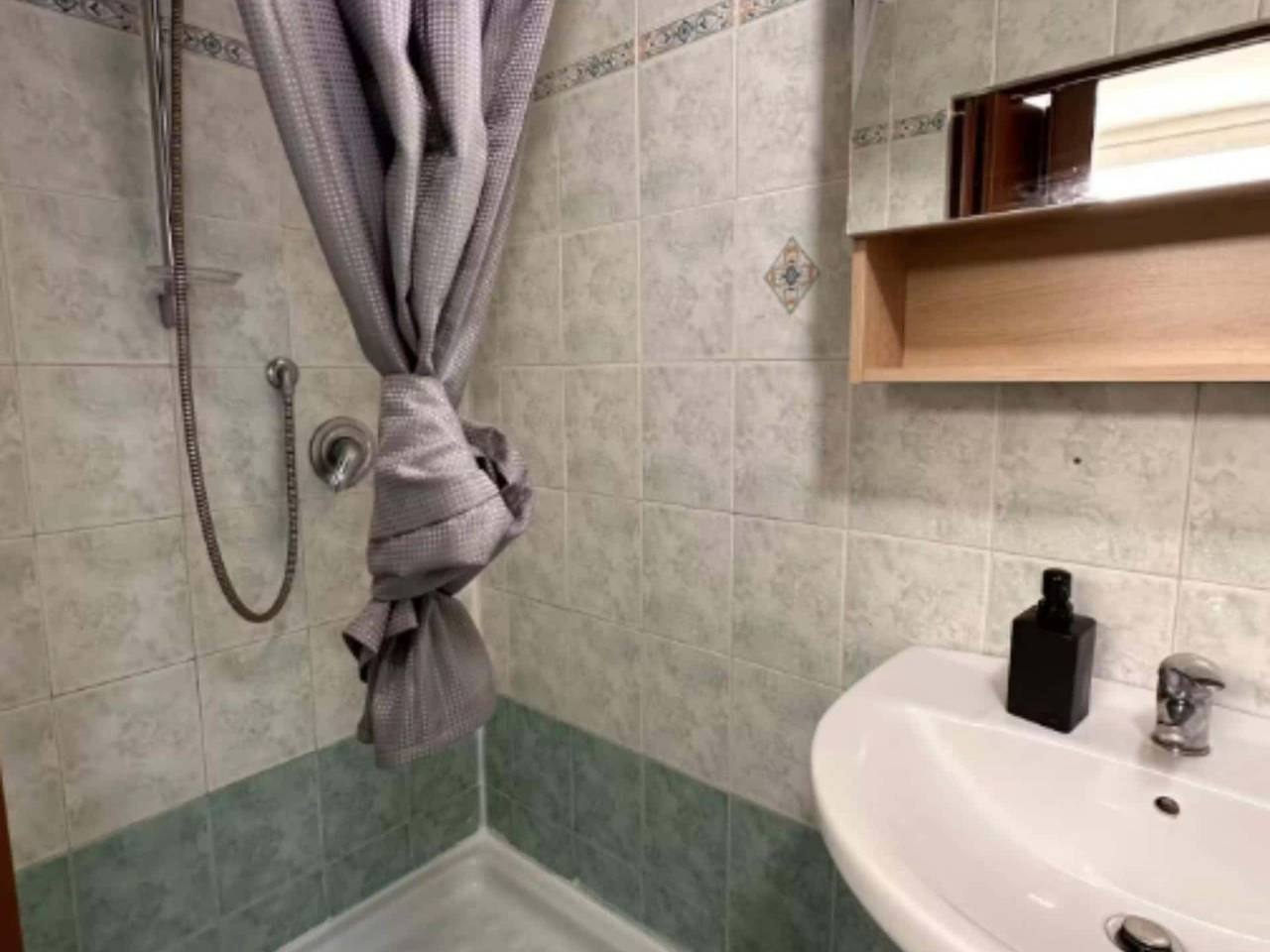 appartamento in affitto a Torino in zona Gran Madre