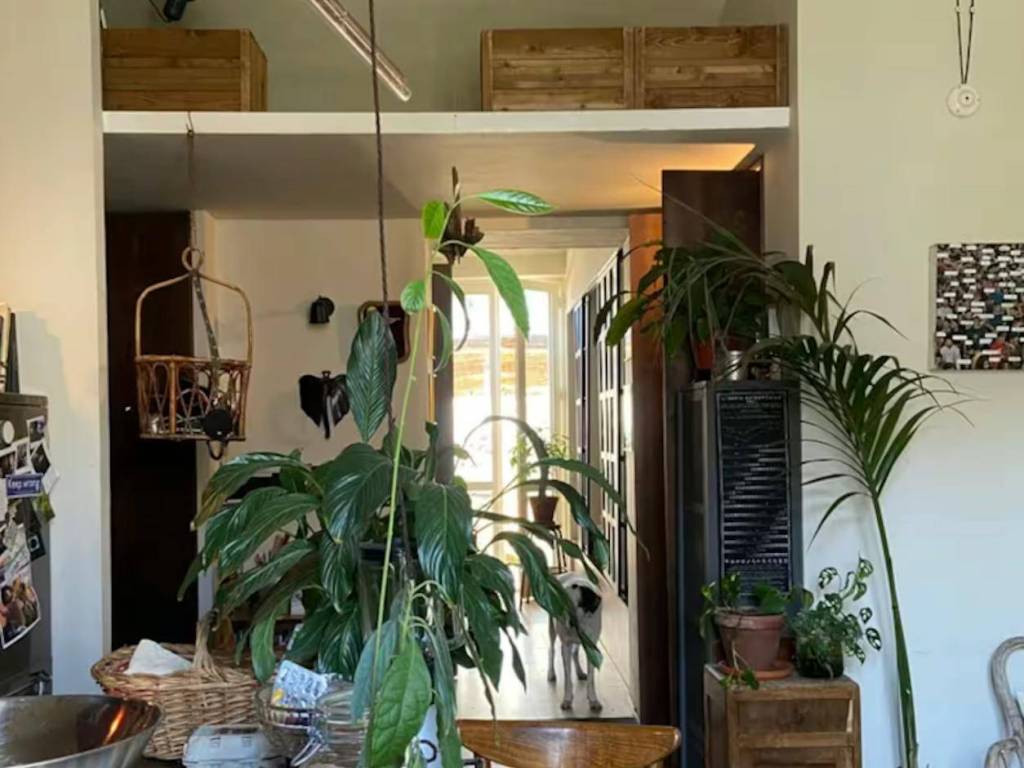 appartamento in affitto a Torino in zona Aurora