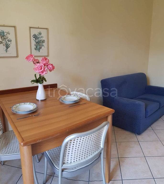 appartamento in affitto a Torino in zona Mirafiori Sud