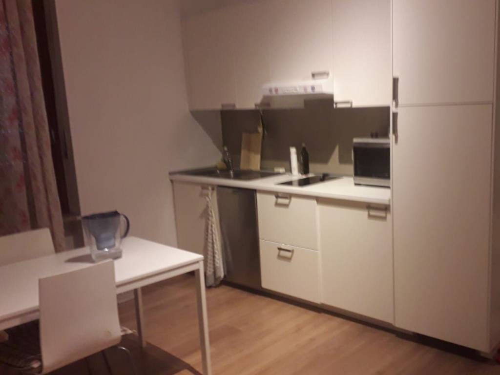 appartamento in affitto a Torino in zona San Salvario