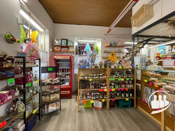 negozio in affitto a Torino in zona Crocetta