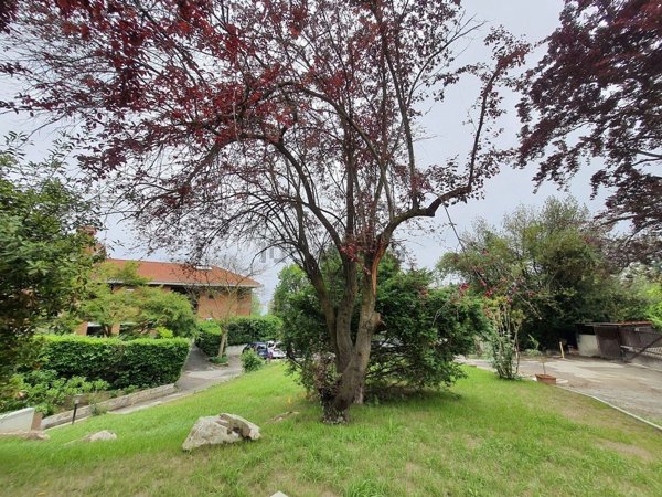 casa indipendente in affitto a Torino in zona Borgo Po