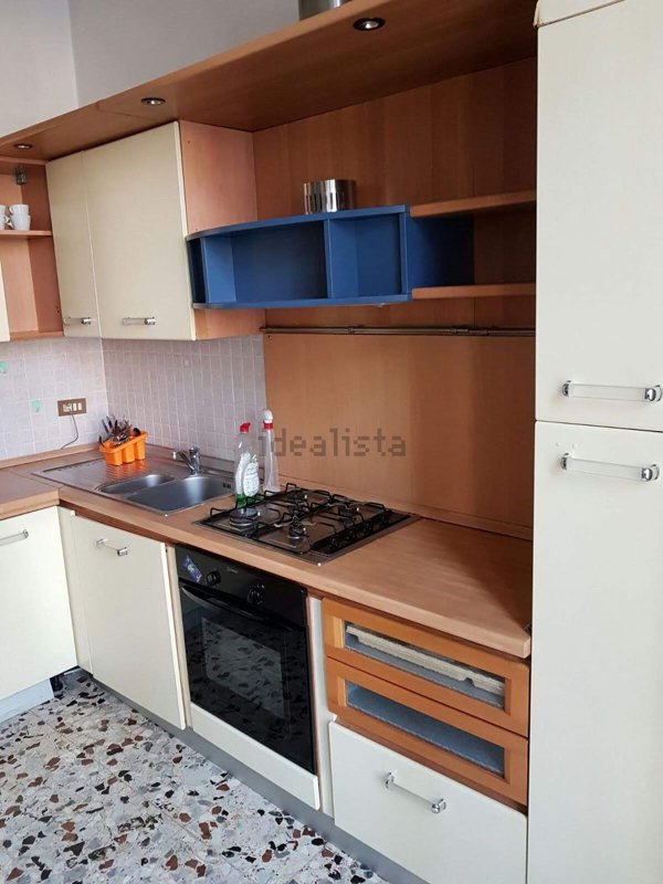 appartamento in affitto a Torino in zona Regio Parco