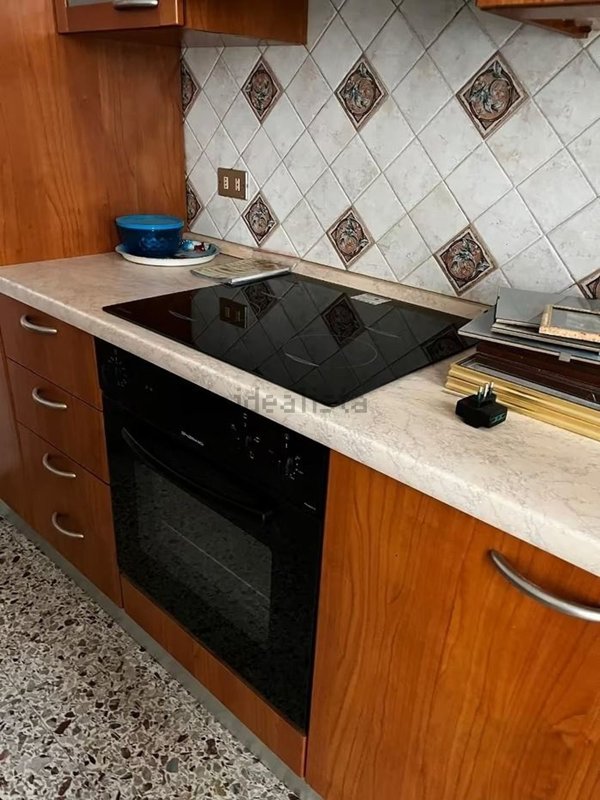 appartamento in affitto a Torino in zona Regio Parco