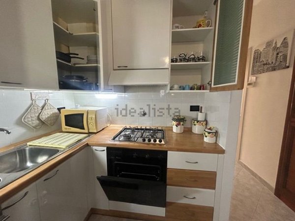 appartamento in affitto a Torino in zona Regio Parco