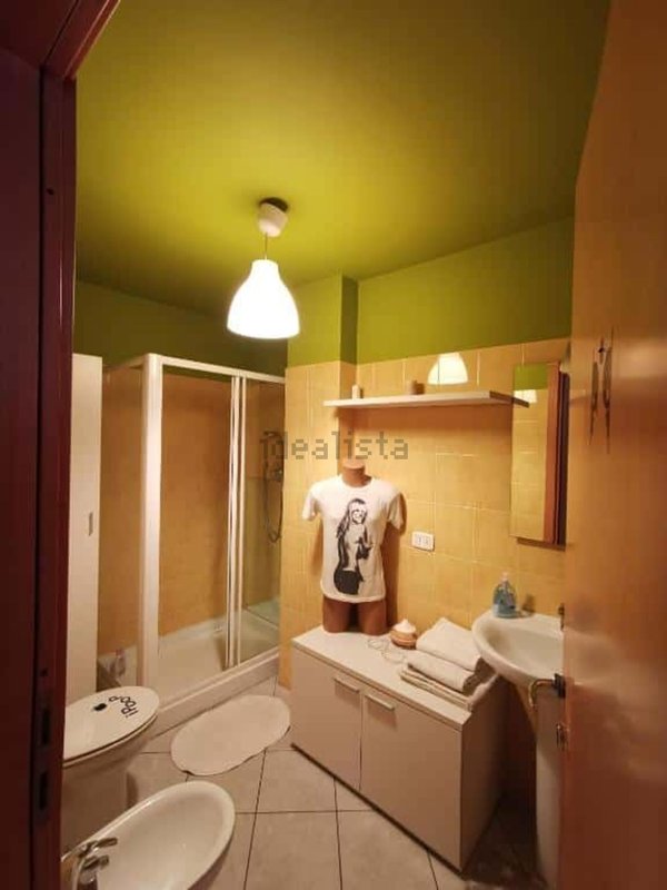 appartamento in affitto a Torino in zona Aurora