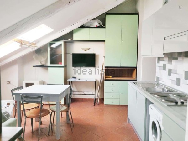 appartamento in affitto a Torino in zona Borgo San Paolo