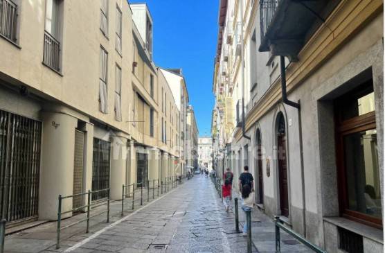 villa in affitto a Torino in zona Centro Storico