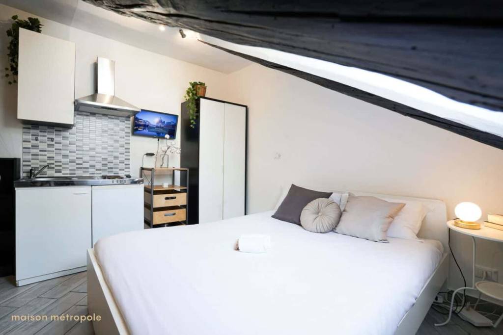 mansarda in affitto a Torino in zona San Salvario