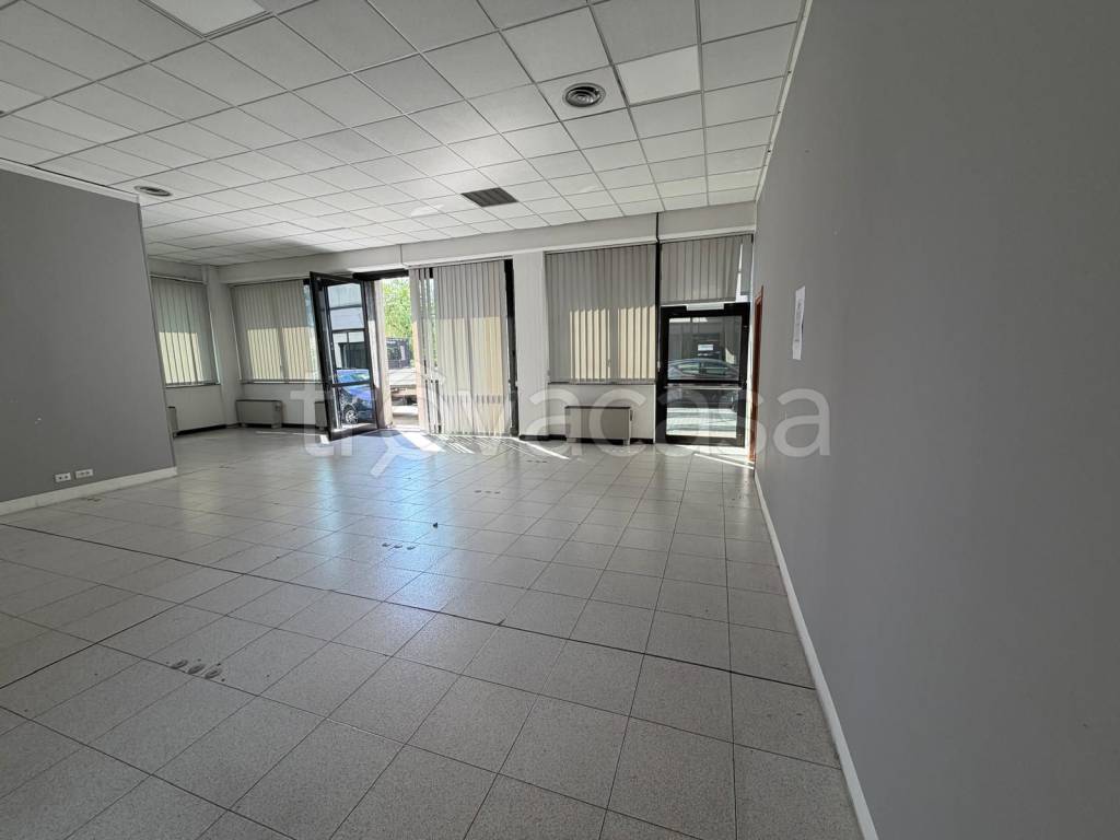 immagine annuncio 0 di 7