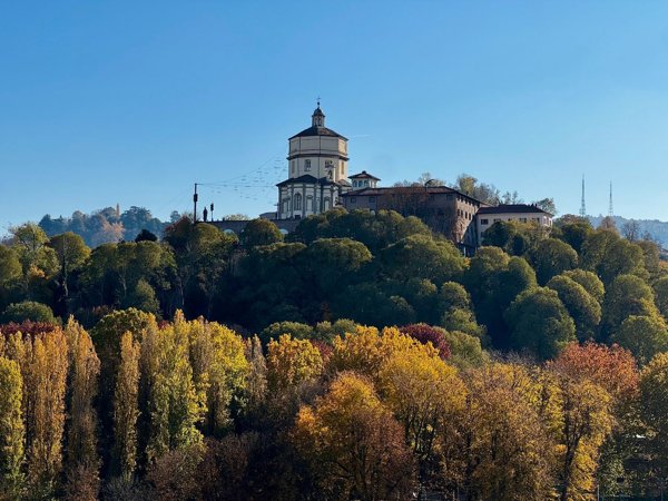 appartamento in affitto a Torino