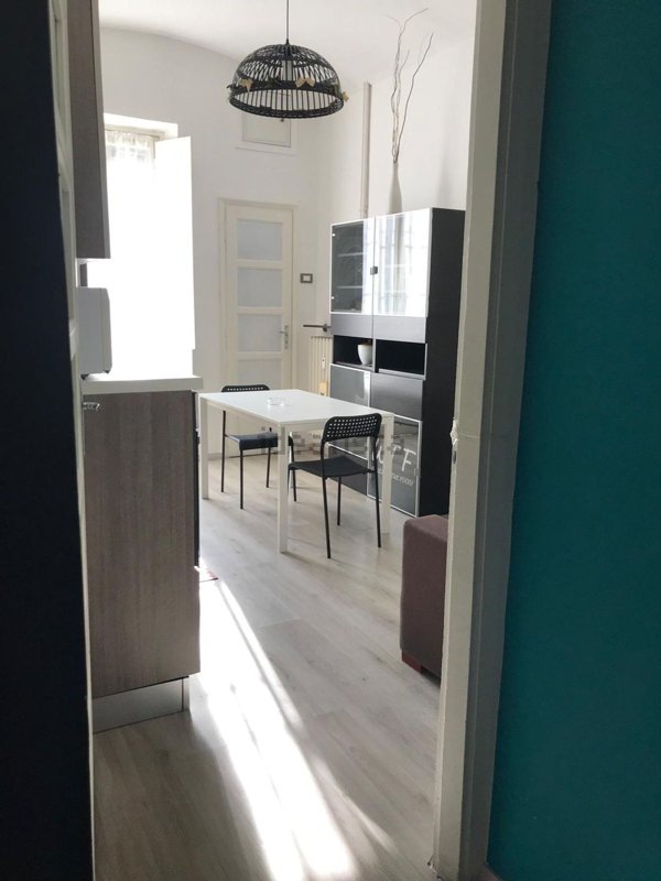 appartamento in affitto a Torino in zona Borgo San Paolo