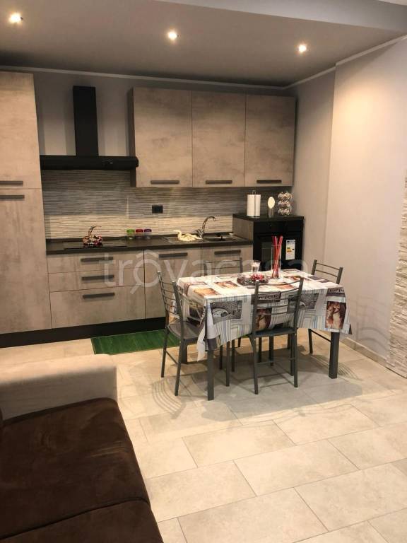 appartamento in affitto a Torino in zona Regio Parco