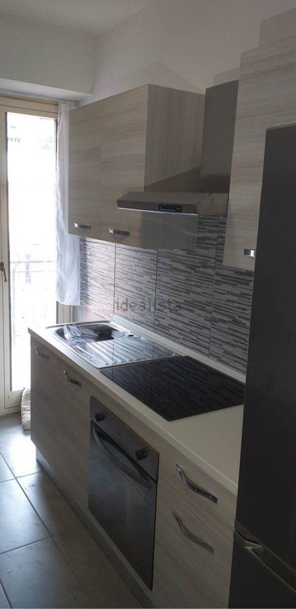 appartamento in affitto a Torino in zona Regio Parco