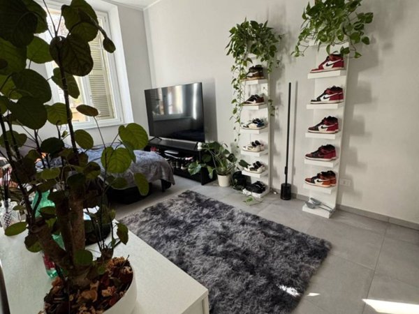 appartamento in affitto a Torino in zona San Salvario