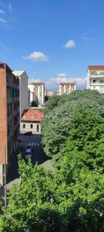 appartamento in affitto a Torino in zona Madonna di Campagna