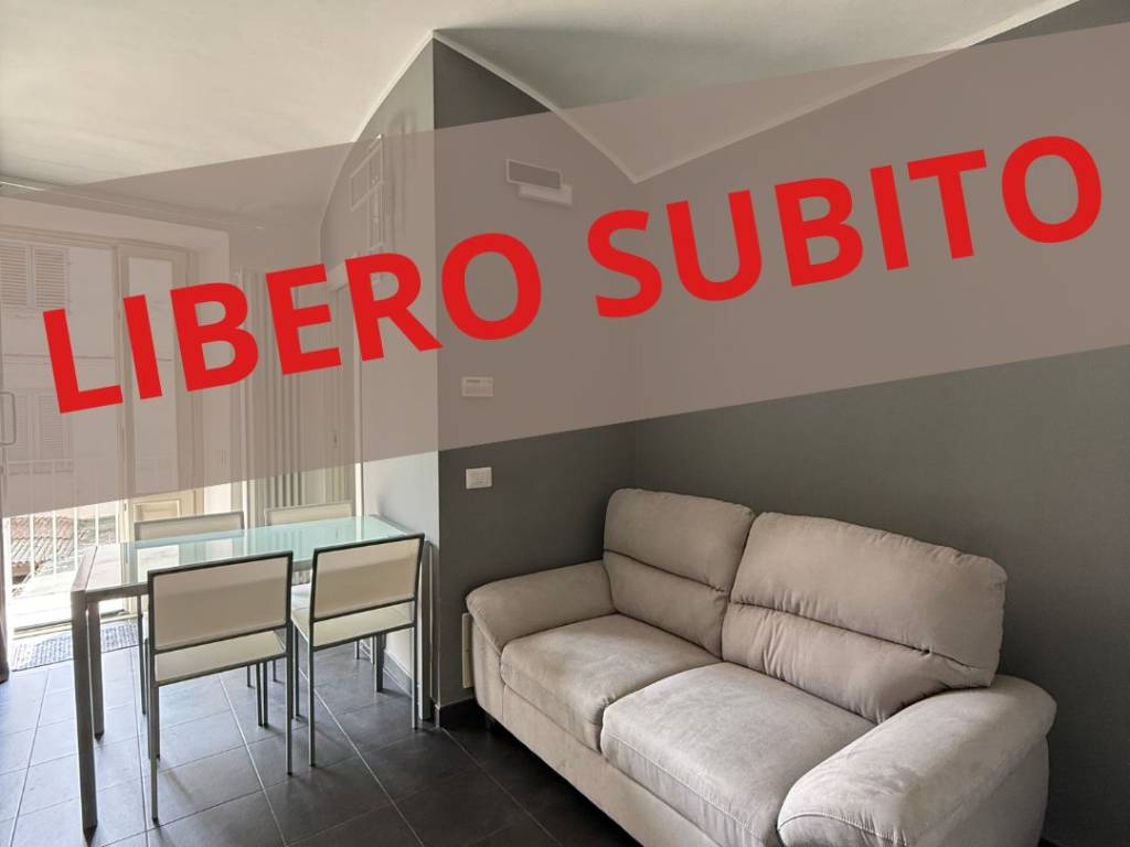 appartamento in affitto a Torino in zona San Salvario