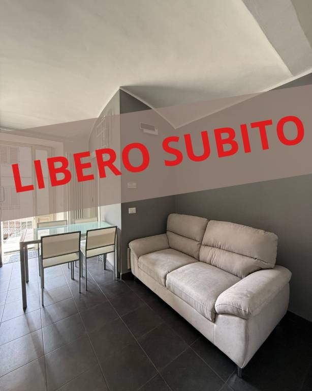 appartamento in affitto a Torino in zona San Salvario