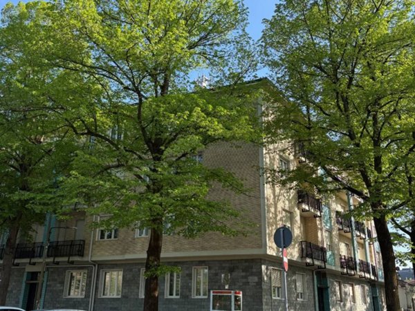 appartamento in affitto a Torino in zona Cavoretto