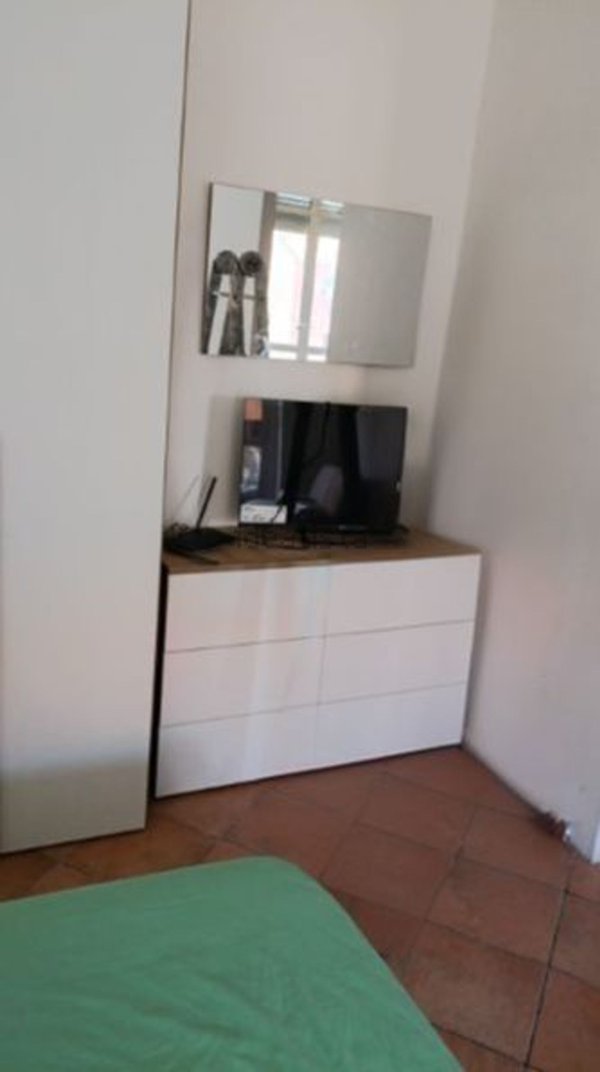 appartamento in affitto a Torino in zona Barriera di Milano