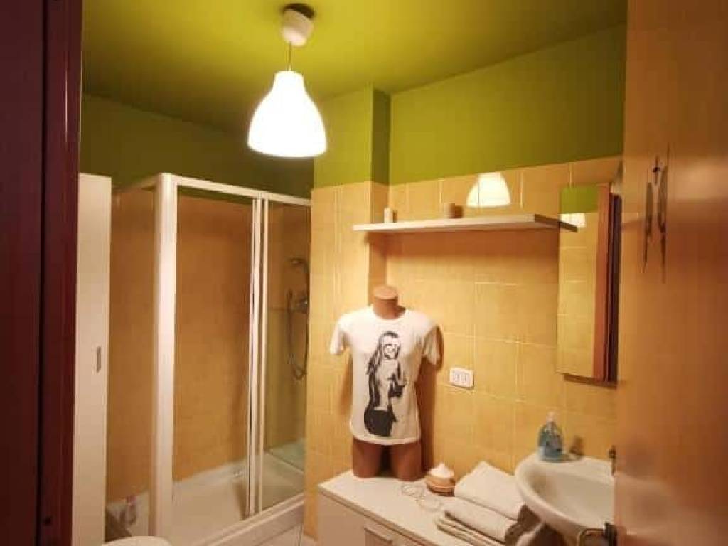 appartamento in affitto a Torino in zona Barriera di Milano