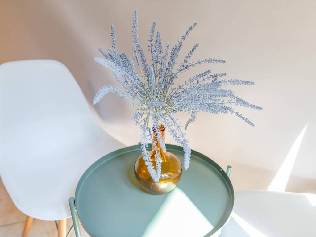 appartamento in affitto a Torino in zona San Salvario