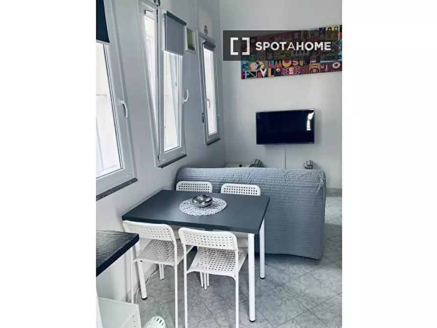 appartamento in affitto a Torino in zona Borgo San Paolo