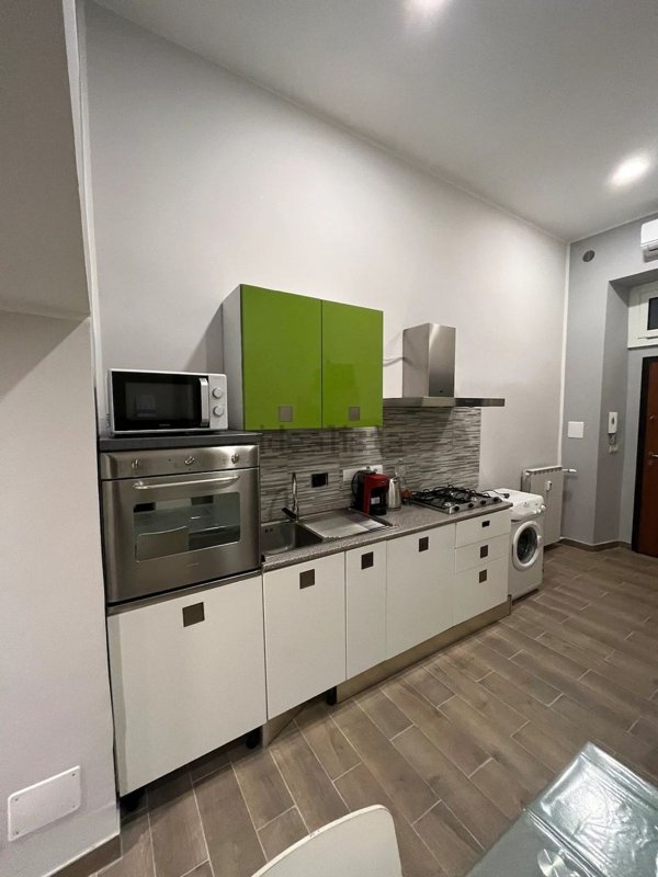 appartamento in affitto a Torino in zona Regio Parco