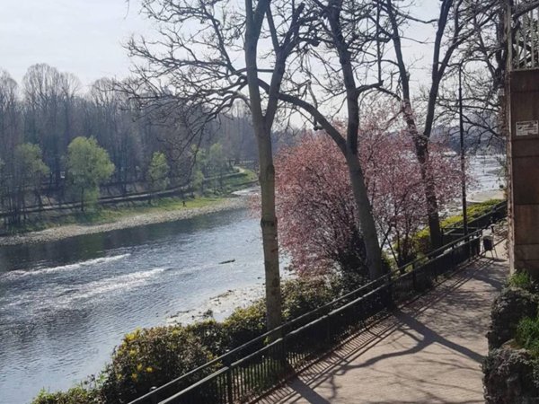 appartamento in affitto a Torino in zona Vanchiglia
