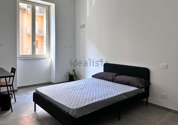 appartamento in affitto a Torino in zona Borgo San Paolo