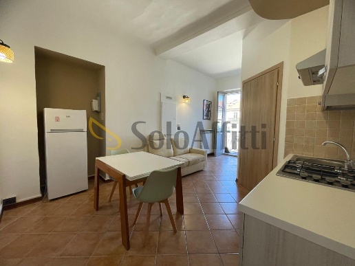 appartamento in affitto a Torino in zona San Donato