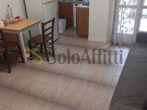 appartamento in affitto a Torino in zona Borgata Vittoria