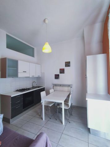 appartamento in affitto a Torino in zona Borgo San Paolo