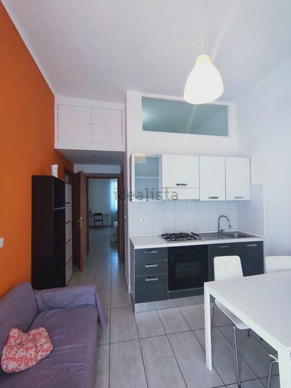 appartamento in affitto a Torino in zona Borgo San Paolo