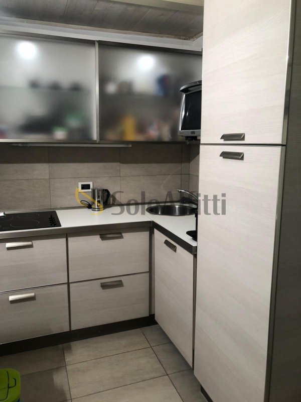 appartamento in affitto a Torino in zona Rosa