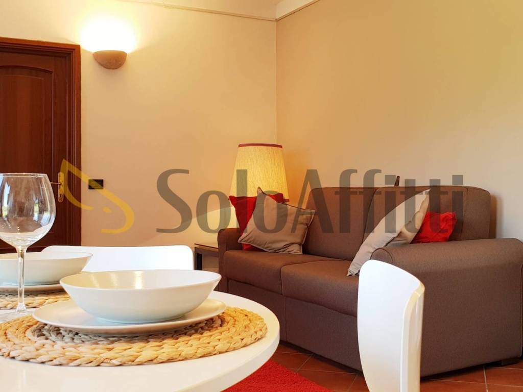 appartamento in affitto a Torino in zona Rosa
