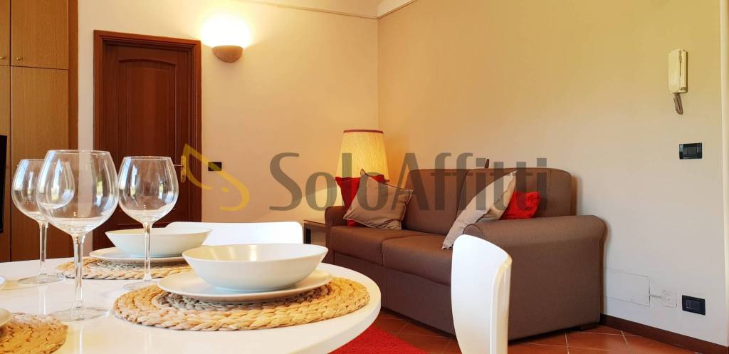 appartamento in affitto a Torino in zona Rosa