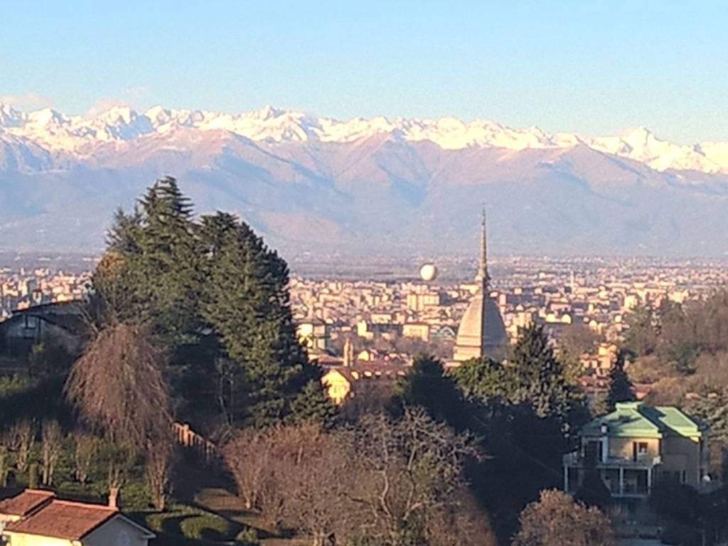 appartamento in affitto a Torino in zona Gran Madre