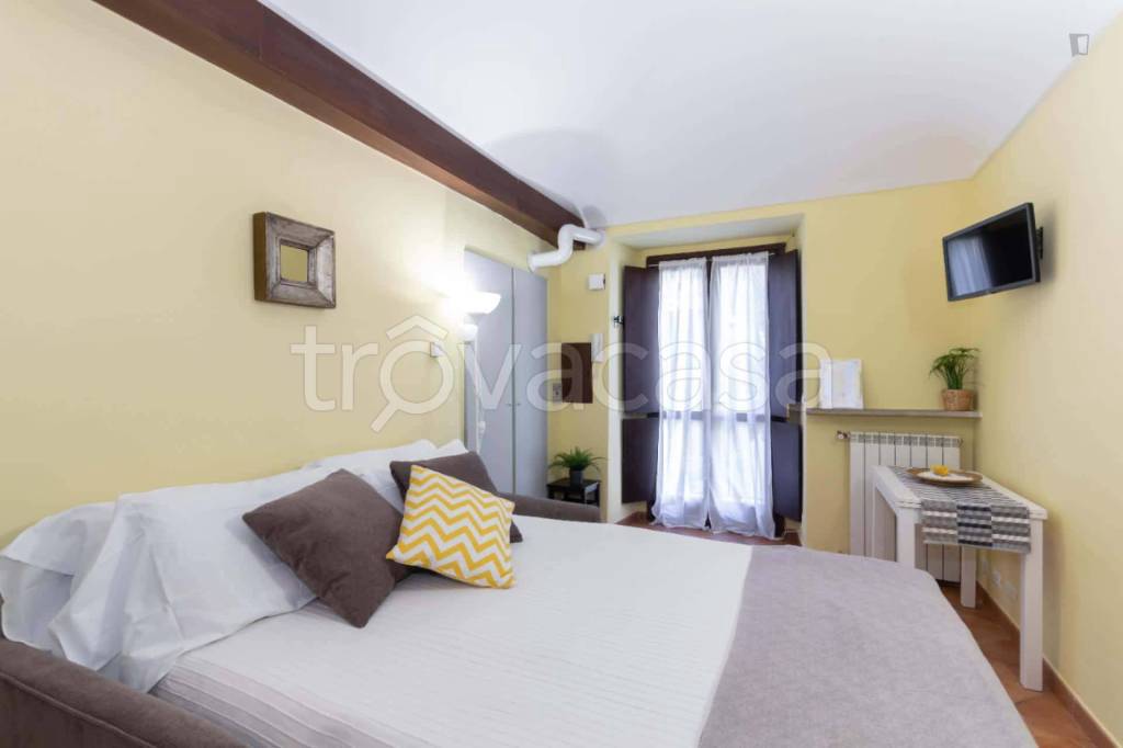 appartamento in affitto a Torino in zona Crocetta