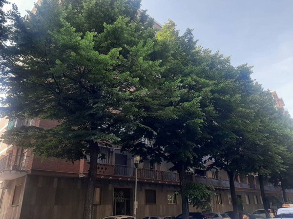 appartamento in affitto a Torino in zona Mirafiori Sud