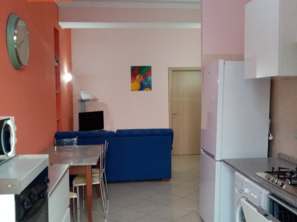 appartamento in affitto a Torino in zona Borgo San Paolo