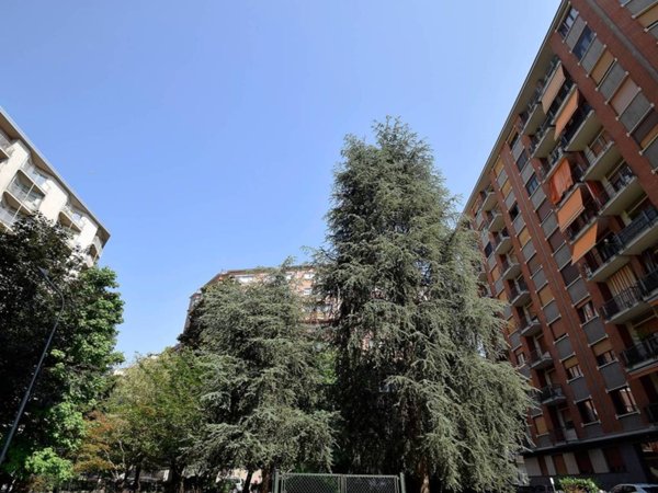 appartamento in affitto a Torino in zona Filadelfia
