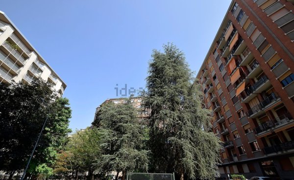 appartamento in affitto a Torino in zona Filadelfia