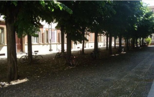 camera singola in affitto a Torino in zona Crocetta
