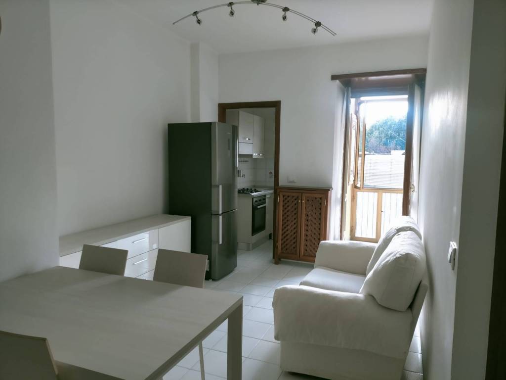 appartamento in affitto a Torino in zona Borgo San Paolo