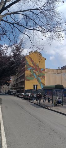 camera singola in affitto a Torino in zona Vanchiglia